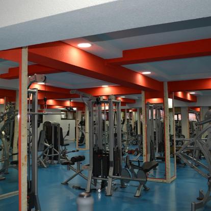 Young Gym